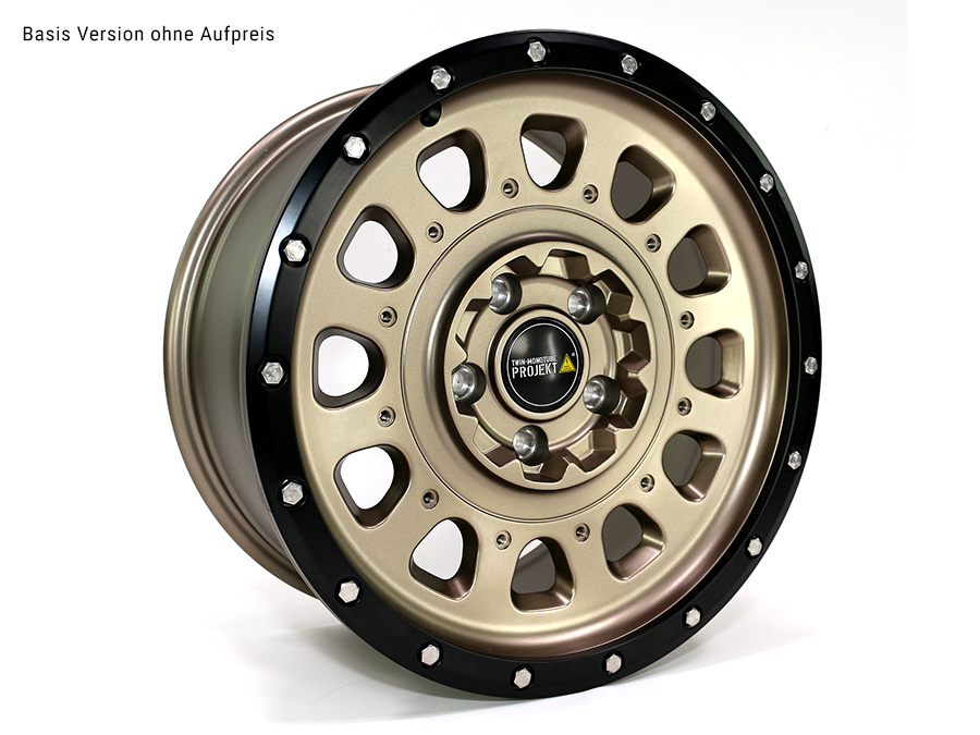 VW T5 T6 T6.1 TWIN-MONOTUBE-PROJEKT-AT3 8X17 ZOLL IN TERRA, INKL. AUSTAUSCHB. SCHUTZRING