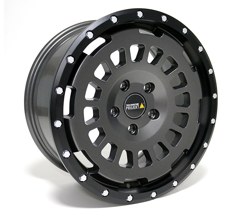 VW T5 T6 T6.1 TWIN-MONOTUBE-PROJEKT-AT 8X17 ZOLL IN SEIDENMATT STONE, KONKAV
