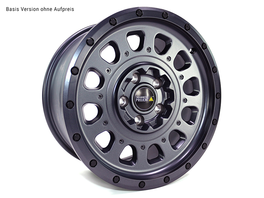 VW T5 T6 T6.1 TWIN-MONOTUBE-PROJEKT-AT3 8X17 ZOLL IN GRANIT, INKL. AUSTAUSCHB. SCHUTZRING