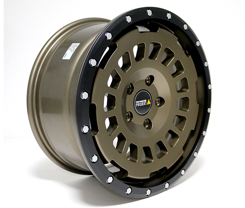 VW T5 T6 T6.1 TWIN-MONOTUBE-PROJEKT-AT 8X17 ZOLL IN SEIDENMATT TERRA, KONKAV